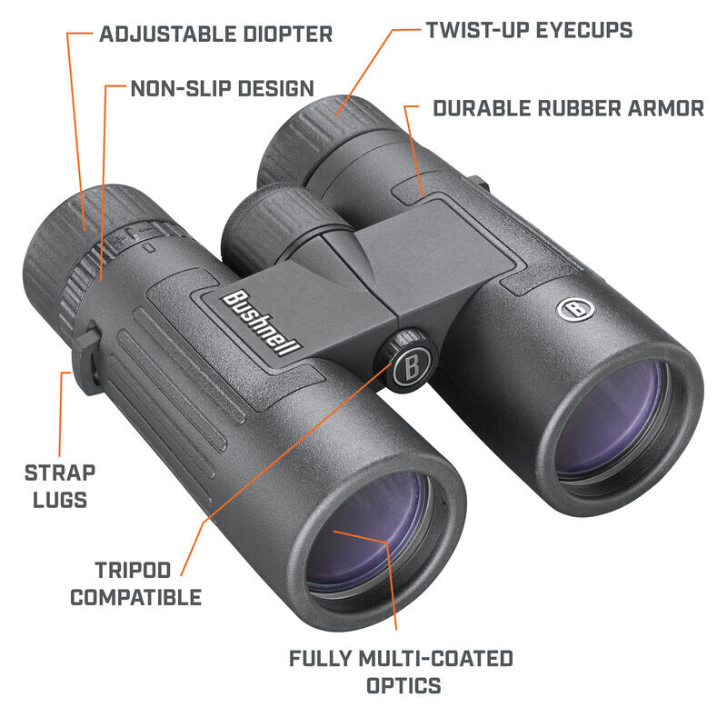 Bushnell Binoculars Legend 8x42 Roof, black, FMC